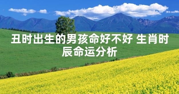 丑时出生的男孩命好不好 生肖时辰命运分析